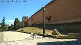 Muralla de Niebla. Torre Norte I. Situación