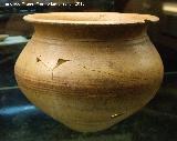 Tumba ibérica 5/066. Urna cineraria de la mujer