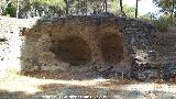 Necrópolis de las Aguilillas. Tumba 1. 