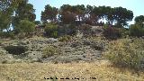 Necrópolis de las Aguilillas. Tumba 7. Tumba 6 y 7
