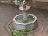 Carmen de los Mártires. Fuente Pequeña de las Palmeras. 