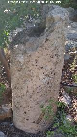 Ciudad romana de Nescania. Fuste en el Cortijo de Don Camilo - Álora