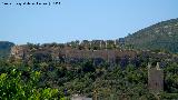 Castillo de Corbera. 