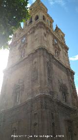 Catedral de Santa María. Torre. 