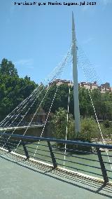 Pasarela del Malecn. 