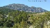 El Molló. 