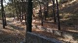 Arroyo de La Cueva. A su paso por el rea recreativa
