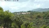 Cortijo del Jaral. 