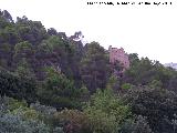 Castillo Puente Honda. 