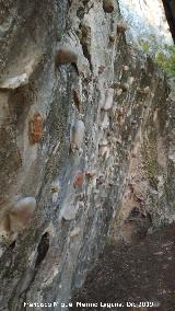 Roc�dromo del Cerro de Santa Catalina. 