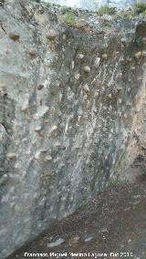 Roc�dromo del Cerro de Santa Catalina. 