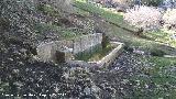 Fuente del Barranco del Tejuelo. 