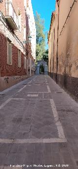 Calle Jard�n Bot�nico. 