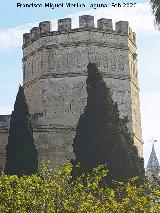 Alc�zar de Jerez. Torre Octogonal. 