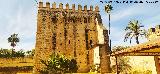 Alc�zar de Jerez. Torre del Homenaje. Intramuros