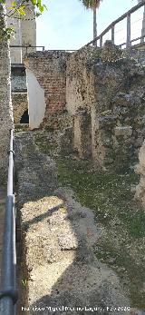 Alc�zar de Jerez. Zona Arqueol�gica. 