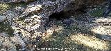 Cueva del Nacimiento del Arroyo del Barranco de la Ca�ada de las Fuentes. 
