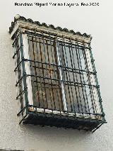 Casa de la Calle Roque Rojas n� 6. Reja de rosetas