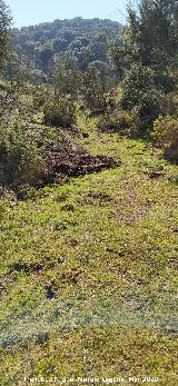 Ca�ada Real de Ja�n a Granada. 