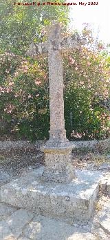 V�a Crucis del Santuario. 