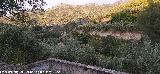 Alberca del Arroyo de la Venta. Vistas hacia el Salto de la Yegua