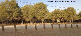 �rea recreativa La Zubia. 