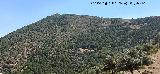 Loma del Barranco de Elises. Desde el Cerro Chozas del Centenillo