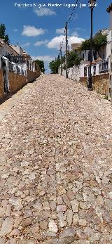 Calle Hortalizas