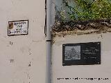 Plaza de la Constituci�n