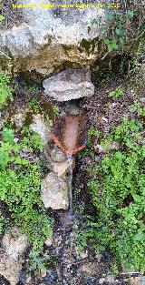 Fuente de la Teja Bonales