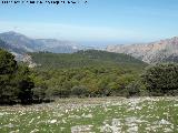 Cerro Matamulos. Vistas hacia Jaén
