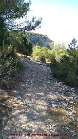 Caada del Sabinar. 