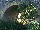 Puente del Guadalcotón. Ojo