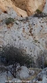 Cueva del Murallón. Plataforma con muros de mampostería desde la que subirían con escalas