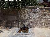 Fuente del Caño. Escudo y caños