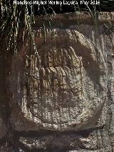 Fuente del Caño. Escudo