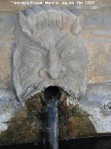 Fuente del Pilar. Caño