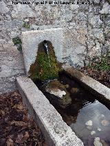 Pilar de las Pilas de Trisla. Caño
