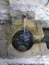Fuente del Lugar. Caño