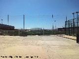 Campo de Fútbol. 