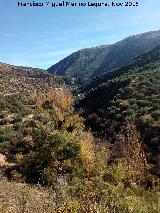 Río Víboras. Barranco a la altura del Cortijo Bravos Bajos en Fuensanta de Martos