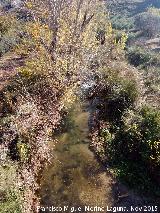 Río Víboras. A la altura del Puente de Matamulas
