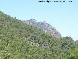 Cerro Peña Blanca. Desde Castañeda