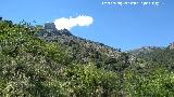 Cerro Peña Blanca. Desde el Barranco de la Tinaja