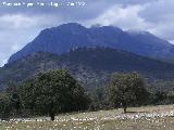 Cerro Cagasebo. En primer término Matamulillos al fondo Cagasebo