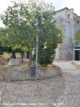 Jardines de Orive. 