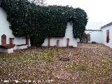Iglesia de Santa María de la Mota. Patio