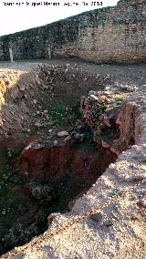 Motilla del Azuer. Excavación extramuros