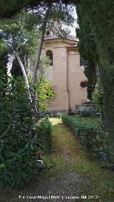 Monasterio de la Cartuja. Jardín lateral