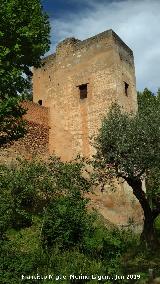 Alhambra. Torre del Cadí. 